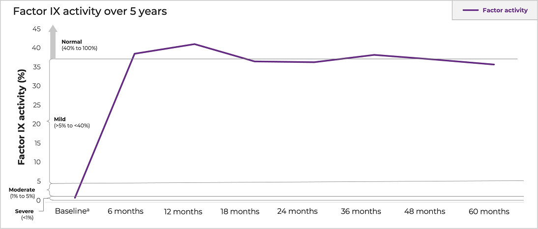Activity over 5 years
